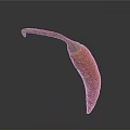 Fresh Orange Chili Pepper With Green Stem And Curved Shape On Gray Background
