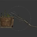 Green Plants Growing in Wooden Rectangular Container With Small Fruits and Dried Branch