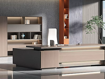 Modern Office Interior With Executive Desk Bookshelves Comfortable Chair and Potted Plant 3d model