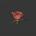 Orange Pink Rose With Layered Petals Green Stem And Leaves On Dark Background
