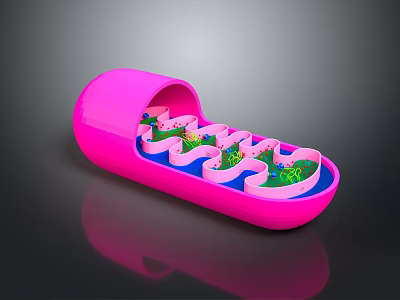 Pink Capsule Shaped Daily Life Product With Blue Base Green Decorations And Wavy Interior Track 3d model