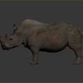 Realistic 3D Rhino Model With Rough Skin Texture Standing On Gray Background