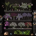 Colorful Floral Arrangements in Vases on Tiered Shelves with Decorative Elements