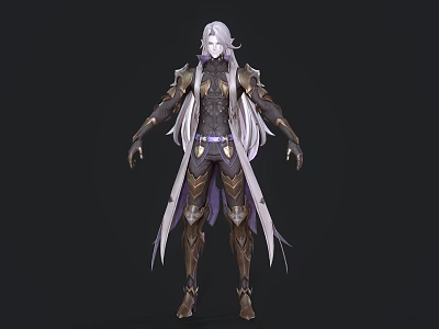Game and Movie Character With Silver White Long Hair Metallic Armor And Fantasy Style Design 3d model