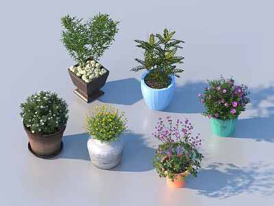 Colorful Decorative Bonsai Potted Plants With Various Colored Pots Green Leaves And Small Flowers 3d model