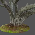 Rough Tree Trunk With Natural Wood Texture And Moss At The Base On Gray Background