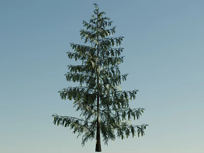 green plant arbor tree 3d model