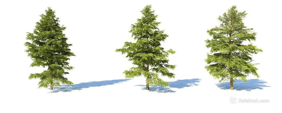 Evergreen Arbor with Lush Green Foliage Brown Trunk and Cast Shadows 3d model 