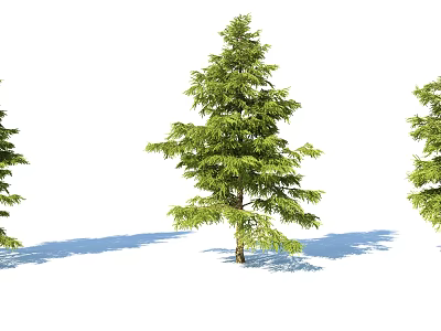 Evergreen Arbor with Lush Green Foliage Brown Trunk and Cast Shadows 3d model