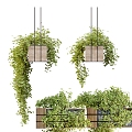 Modern hanging basket plant potted hanging basket 3d model