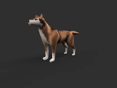3D Model of Brown and White Shiba Inu Dog Standing on Dark Background 3d model