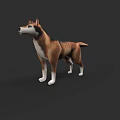 3D Model of Brown and White Shiba Inu Dog Standing on Dark Background