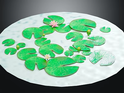 Pink Water Lily Flowers and Green Lily Pads Floating on Calm Water Surface 3d model