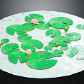 Pink Water Lily Flowers and Green Lily Pads Floating on Calm Water Surface