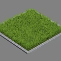 Well Maintained Green Square Grass Lawn With Gray Border And Fresh Look