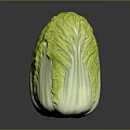 Fresh Chinese Cabbage With Green Leaves And White Stalk On Dark Background