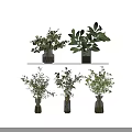 Transparent Glass Vases With Various Green Foliage And Natural Plants For Modern Home Decor