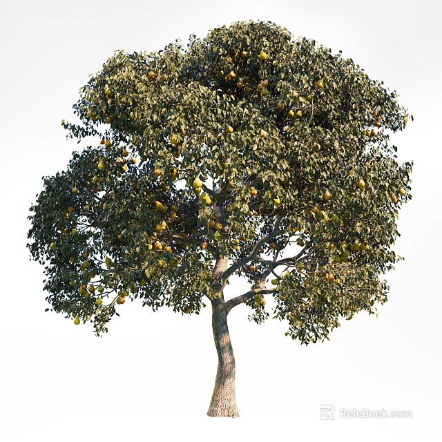 Lush Foliage Arbor Tree With Green Leaves And Ripe Yellow Fruits 3d model 