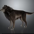 3D Rendered Wolf Standing Pose With Unique Fur Pattern Red Black Accents On Dark Background