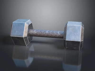 Sturdy Hexagonal Metal Dumbbell Sports Equipment With Solid Grip For Fitness Workouts 3d model