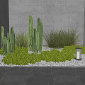 Modern Garden Accent With Cacti Green Grass Gravel And Lantern Against Gray Walls