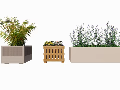 Stylish Garden Planters Featuring Tropical Greenery Colorful Blooms and Lavender in Wood and Concrete Designs 3d model
