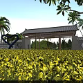 Traditional Chinese Entrance Gate In Yellow Flower Field With Palm Trees And Heart Sculpture