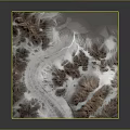 Alpine Plants Growing On Mountain Terrain Model With Winding Roads And Snowy Areas