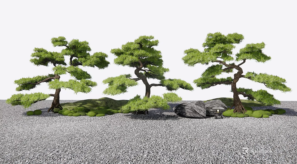 Tall Arbor Trees In Natural Landscape With Green Grass Gravel And Stones 3d model 