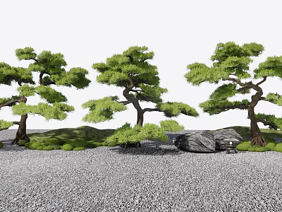 Tall Arbor Trees In Natural Landscape With Green Grass Gravel And Stones 3d model