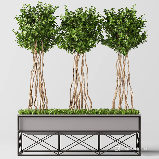 Decorative Ornament Set With Three Trees Twisted Trunks Green Leaves And Rectangular Planter 3d model 