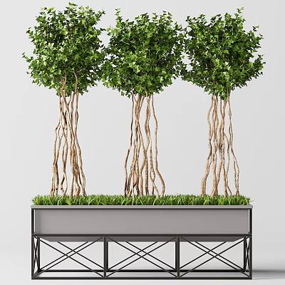 Decorative Ornament Set With Three Trees Twisted Trunks Green Leaves And Rectangular Planter 3d model