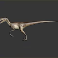 Realistic Velociraptor Dinosaur 3D Model With Detailed Skin Texture Open Mouth Standing On Gray Background