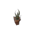 Modern Bonsai Potted Snake Plant With Wooden Metal Frame Design
