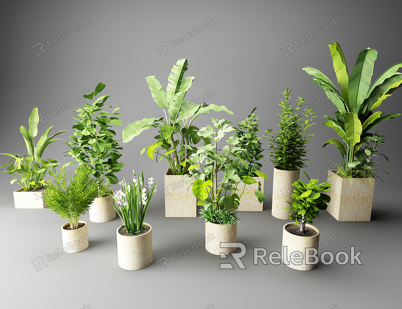 modern potted plants potted plants green plants flowers and plants model