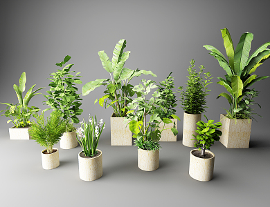 modern potted plants potted plants green plants flowers and plants 3d model