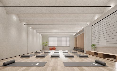 Modern Yoga Room 3d model