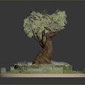 Bonsai Tree With Brown Trunk Green Leaves And Grass Around Stone Wall On Circular Base