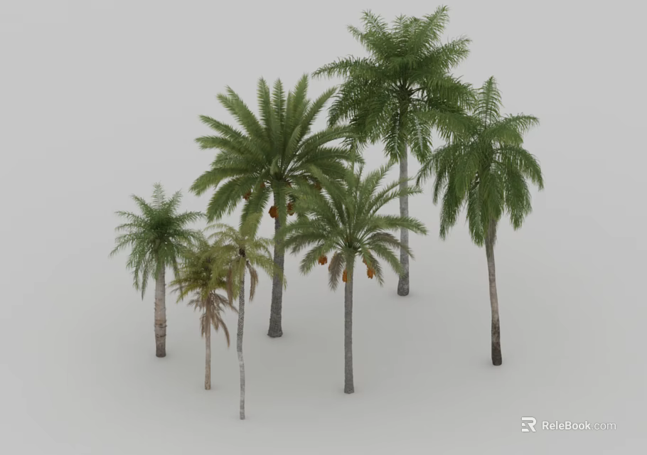 Group Of Lush Palms With Various Sizes Green Fronds And Tall Trunks 3d model 