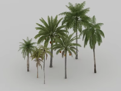 Group Of Lush Palms With Various Sizes Green Fronds And Tall Trunks 3d model