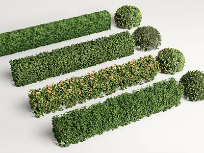 Various Trimmed Shrubs Including Hedges And Round Green Landscape Plants 3d model