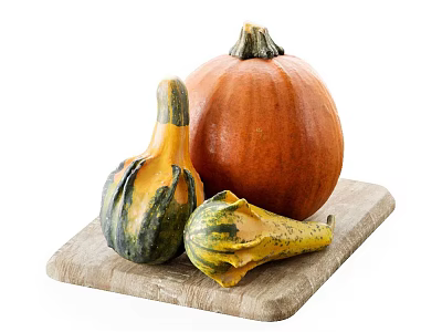 Fresh Pumpkins and Small Gourds on a Wooden Cutting Board White Background 3d model