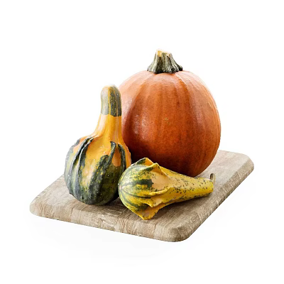 Fresh Pumpkins and Small Gourds on a Wooden Cutting Board White Background 3d model