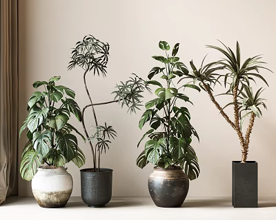 Indoor Potted Plants With Lush Green Leaves And Various Decorative Planters 3d model