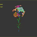 Beautiful Pink Lily Plant With Green Stem And Leaves On Gray Background