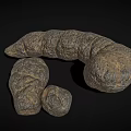 Earthworms With Segmented Bodies In Natural Curved Form On Dark Surface 3d model