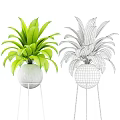 Lush Green Potted Plants With White Pots And Metal Stand For Indoor Decor