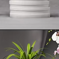 Beautiful Bonsai Potted Plants with White Pink Orchid Flowers Green Leaves and White Pots