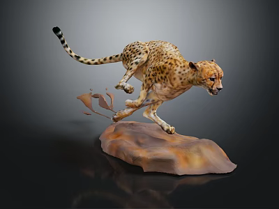 Spotted Cheetah Leaping On Brown Rock With Raised Tail And Flying Dust 3d model