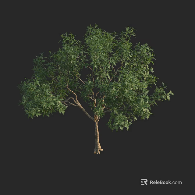 Lush Green Arbor With Dense Foliage Strong Trunk And Healthy Canopy 3d model 